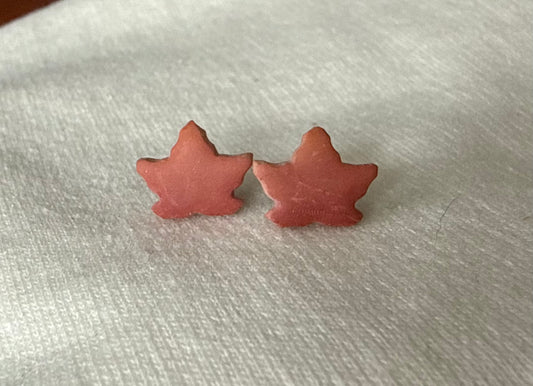 Mini Ombré Leaves Studs